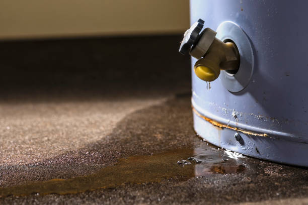 Best Emergency water extraction  in West Laurel, MD