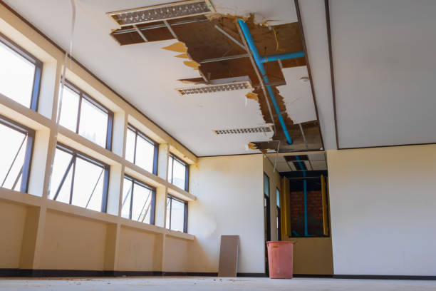 Best Water damage restoration experts  in West Laurel, MD