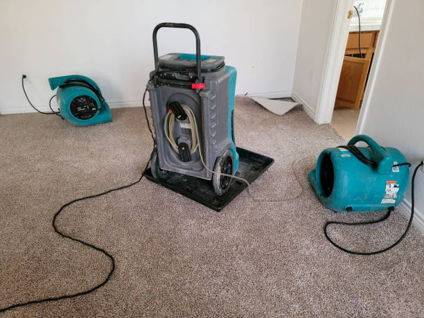 Best Commercial water damage restoration  in West Laurel, MD