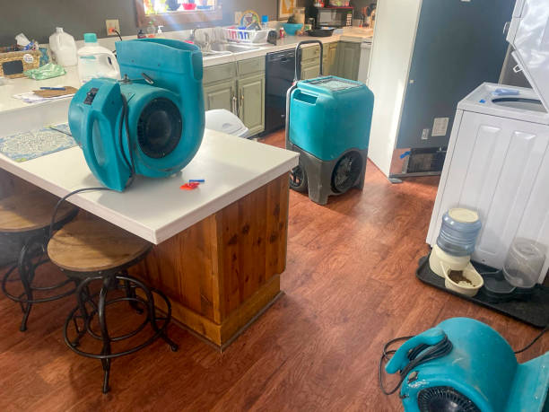 Water damage restoration mold remediation in MD