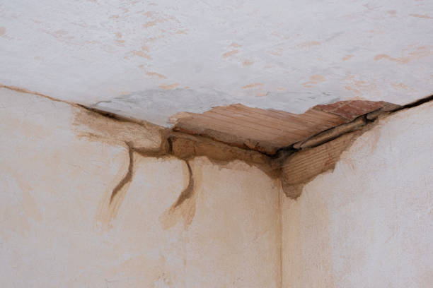 Best Water damage restoration mold remediation  in West Laurel, MD