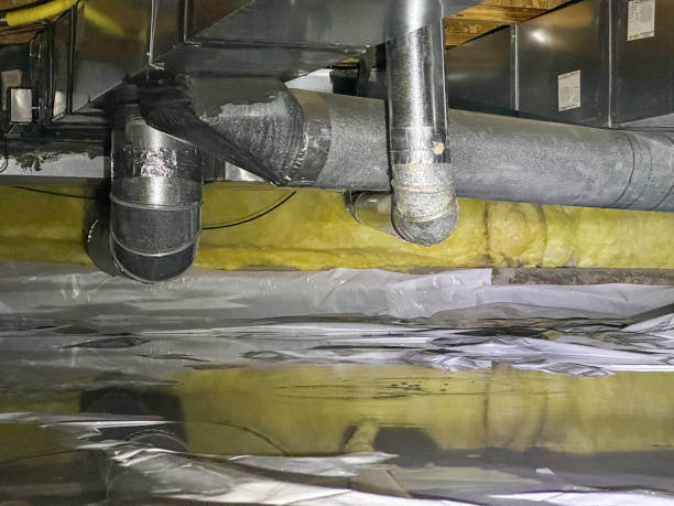Best Sewage cleanup and water damage restoration  in West Laurel, MD