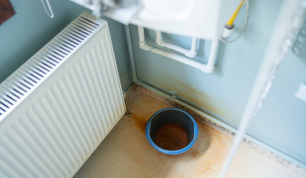 Best Professional water damage repair  in West Laurel, MD