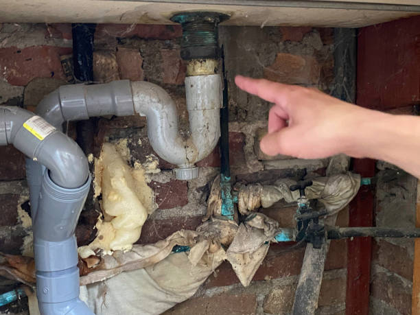 Best 24/7 water damage repair  in West Laurel, MD