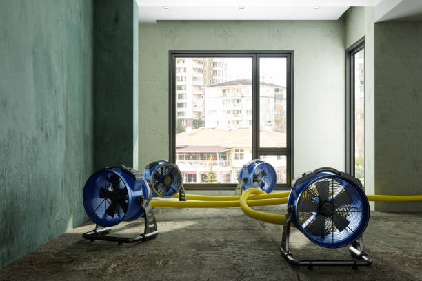 Best Residential water damage restoration  in West Laurel, MD