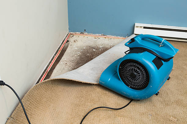  West Laurel, MD Water damage restoration Pros